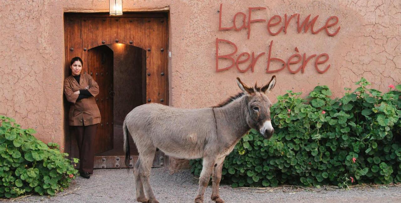 Bed and Breakfast La Ferme Berbere Adult Only El Harkat Exterior foto