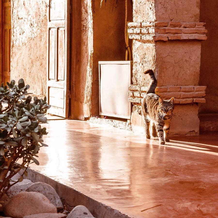 Bed and Breakfast La Ferme Berbere Adult Only El Harkat Exterior foto