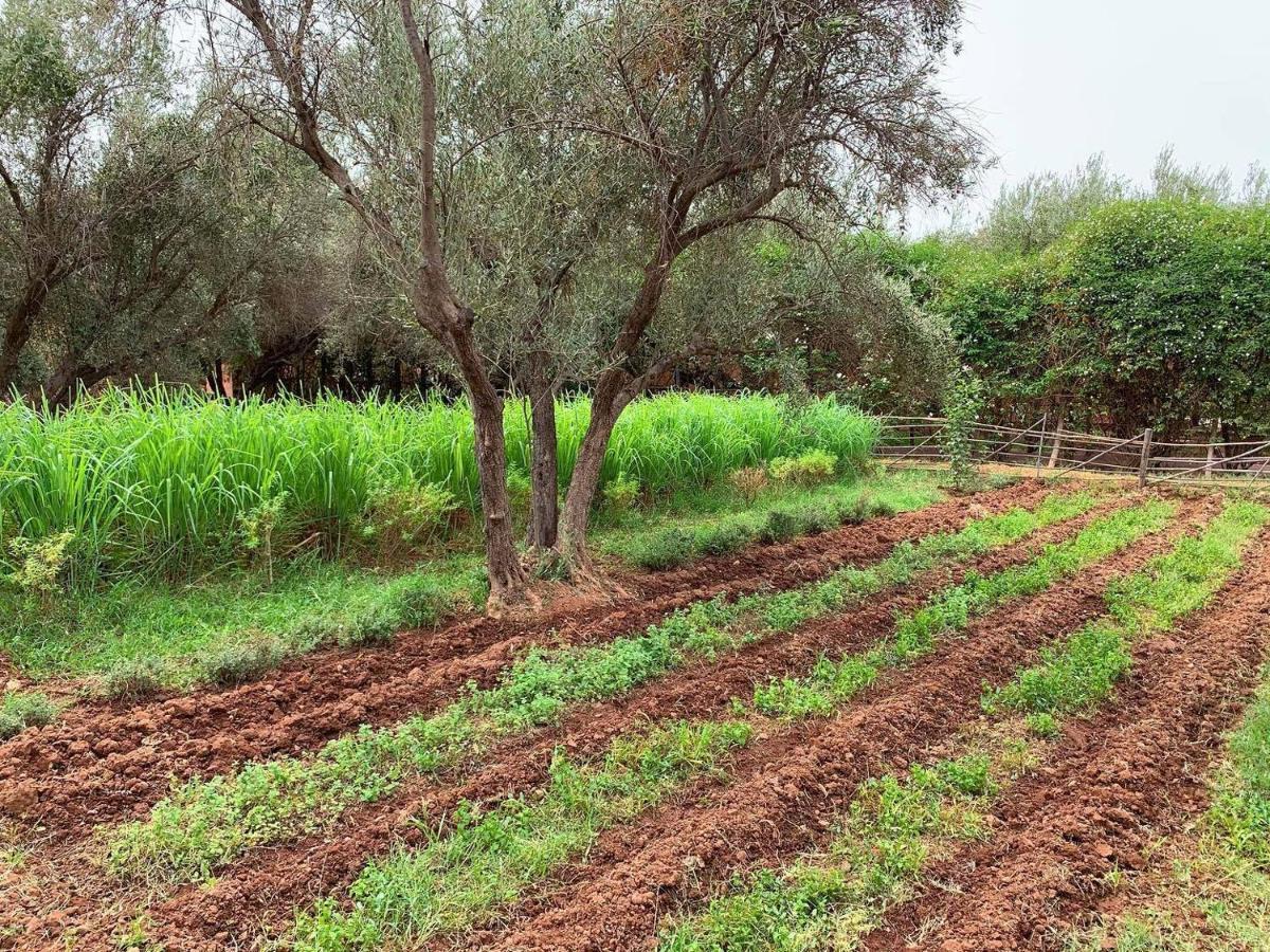Bed and Breakfast La Ferme Berbere Adult Only El Harkat Exterior foto