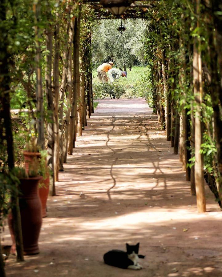 Bed and Breakfast La Ferme Berbere Adult Only El Harkat Exterior foto