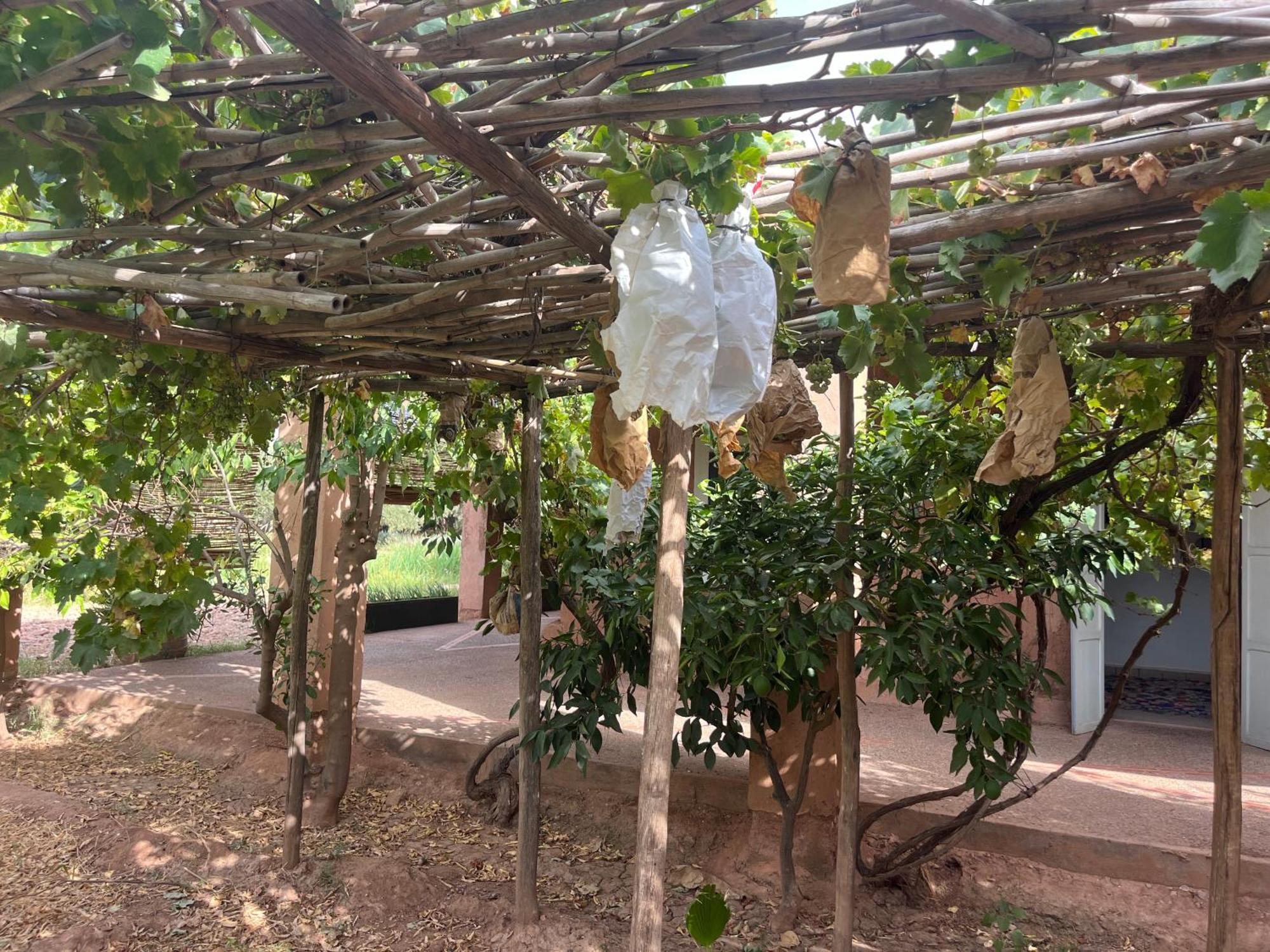 Bed and Breakfast La Ferme Berbere Adult Only El Harkat Exterior foto
