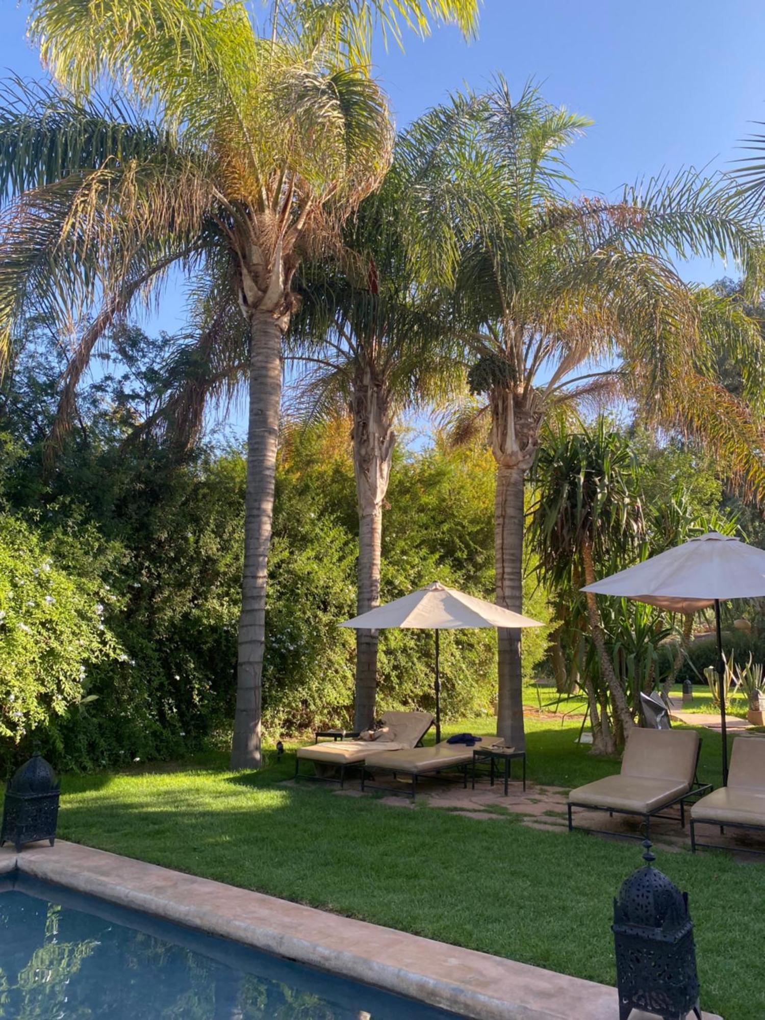 Bed and Breakfast La Ferme Berbere Adult Only El Harkat Exterior foto